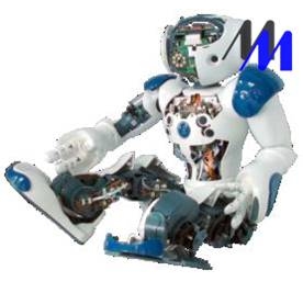 Bộ thí nghiệm cấu tạo robot dạng người NAO ( truyền động, phát hiện/giám sát , truyền thông)